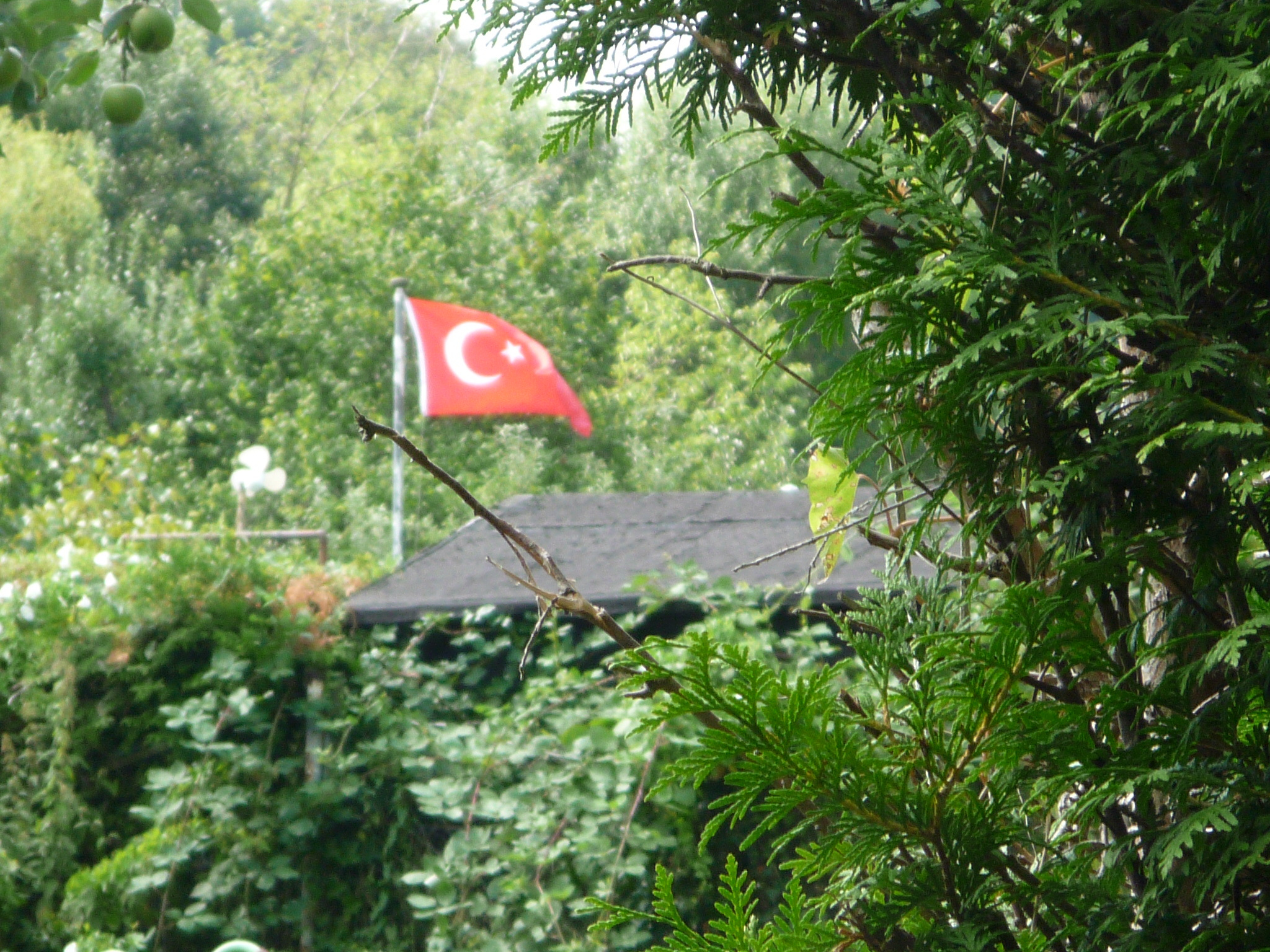 türkischer Kleingarten in Kiel