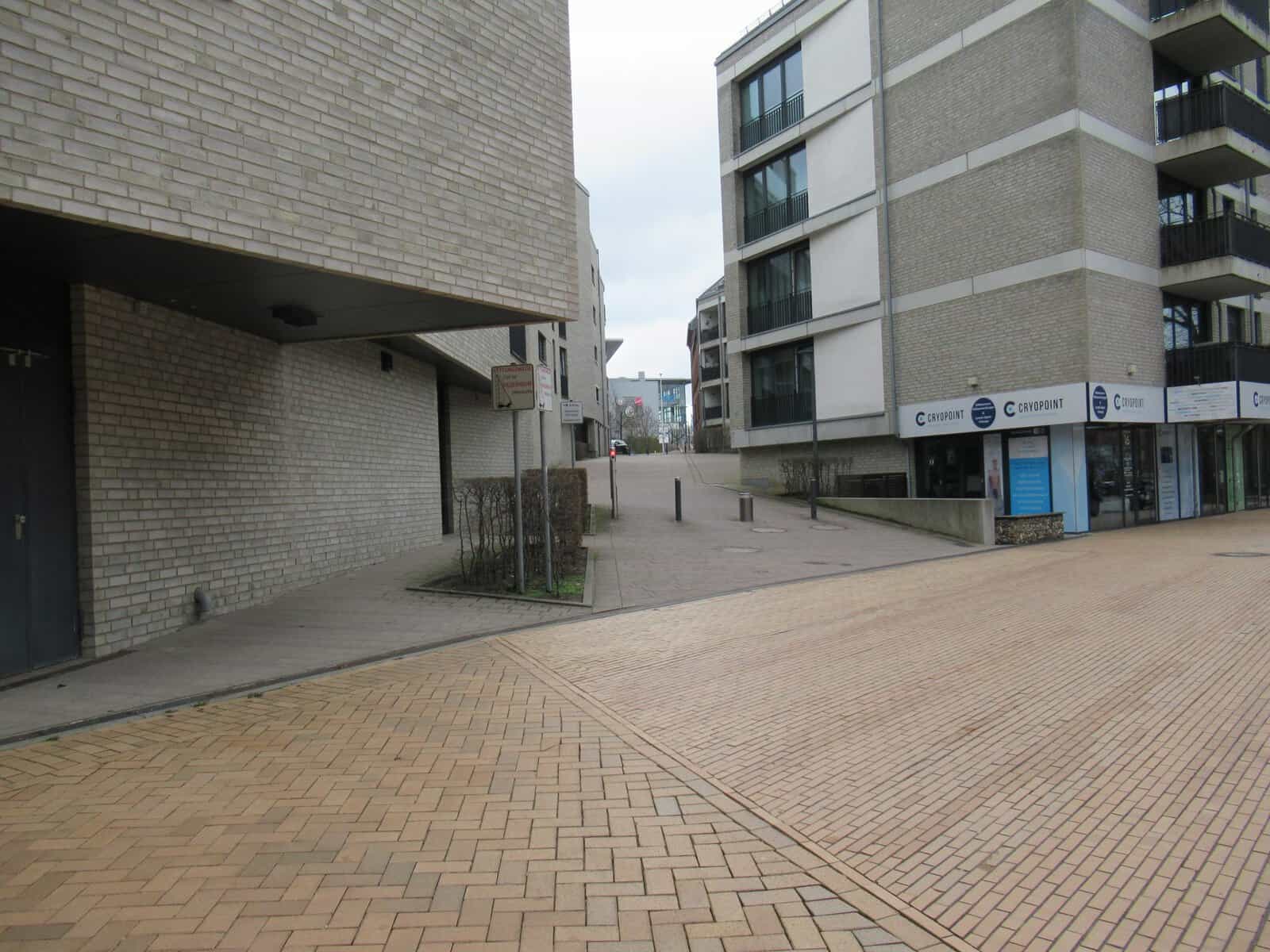 Etwas Alibi-Grün im Bäckergang Kiel