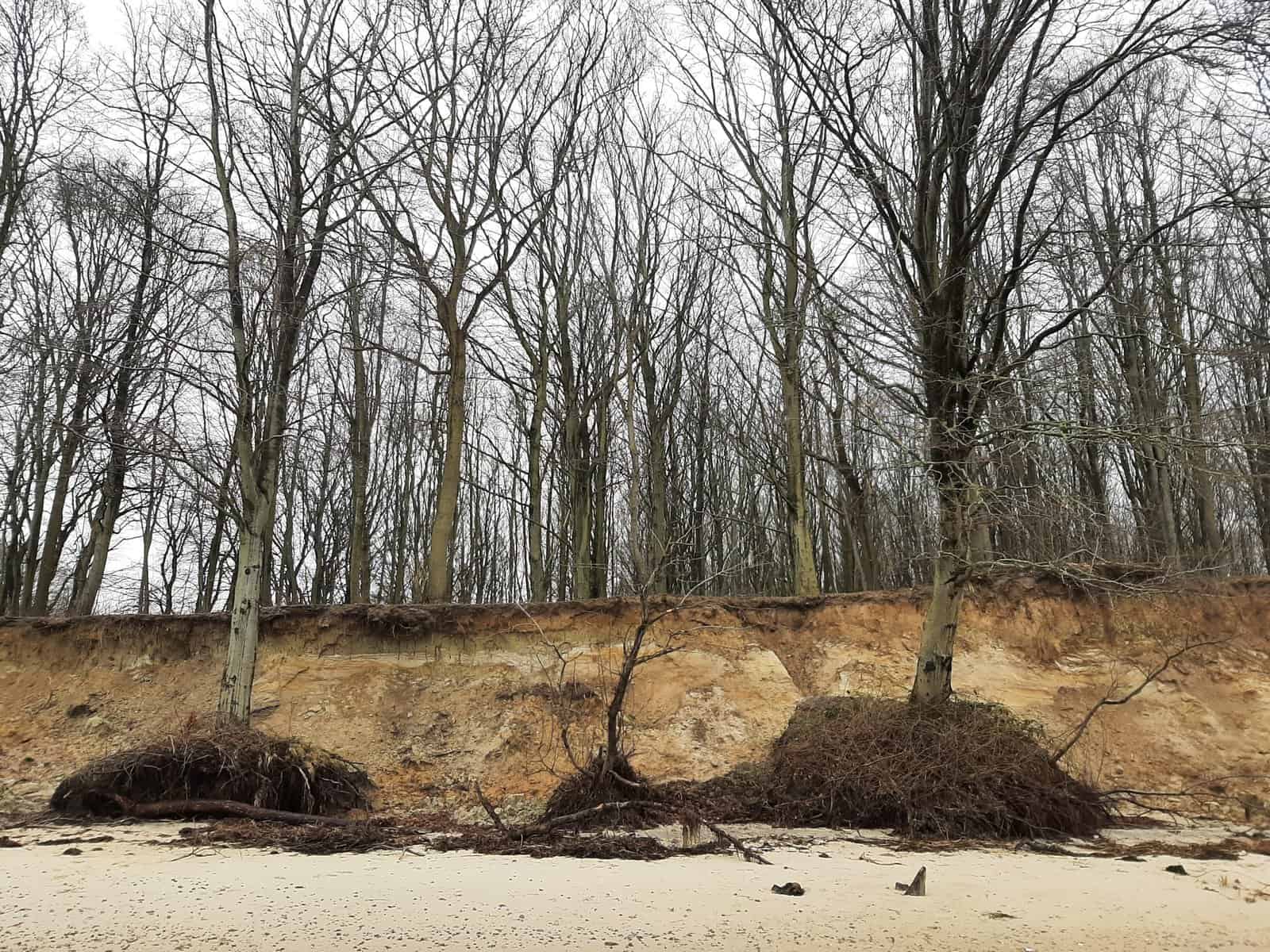 Steilküste in Schilksee-Süd