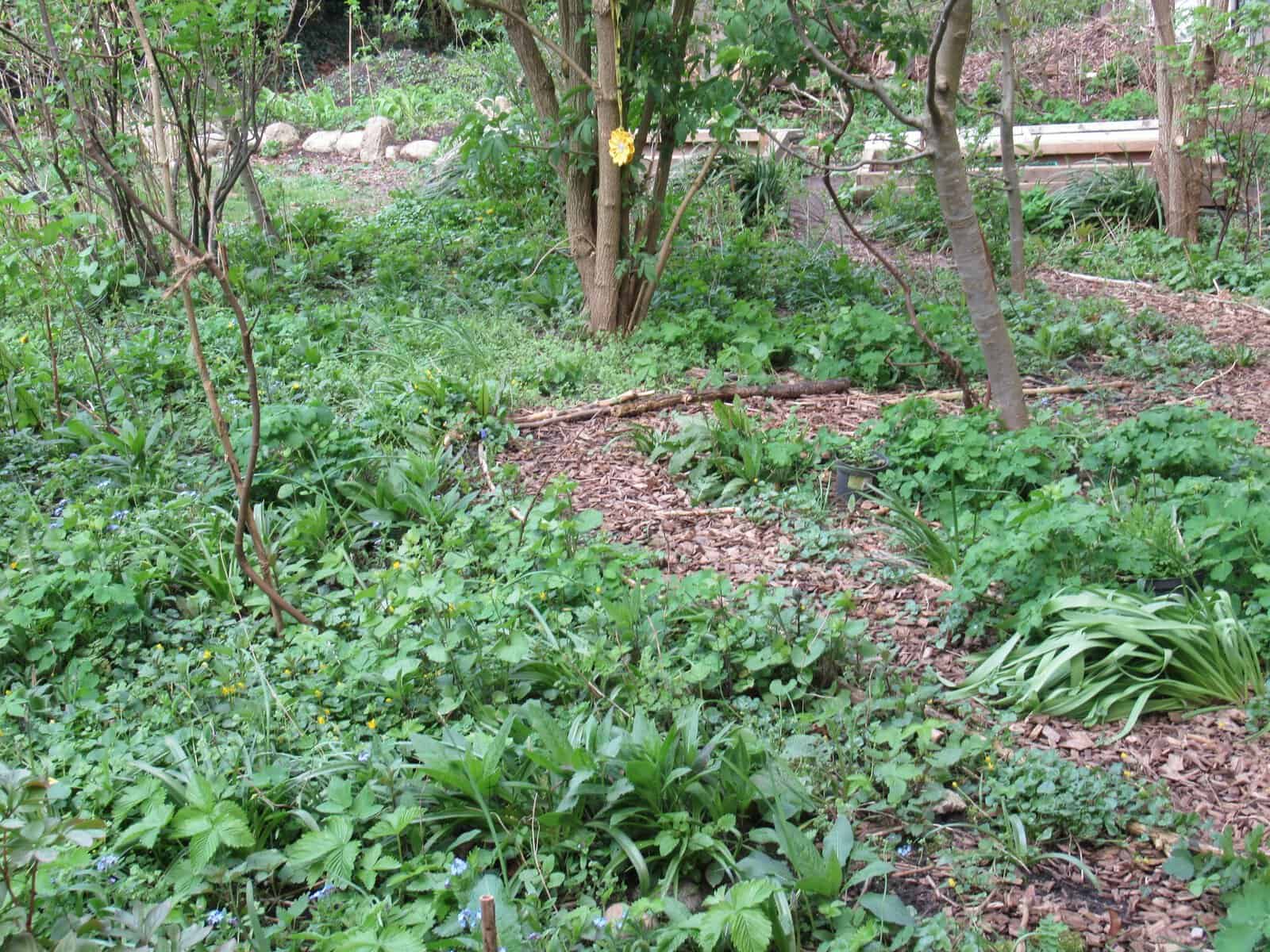 Garten an der Alten Mu