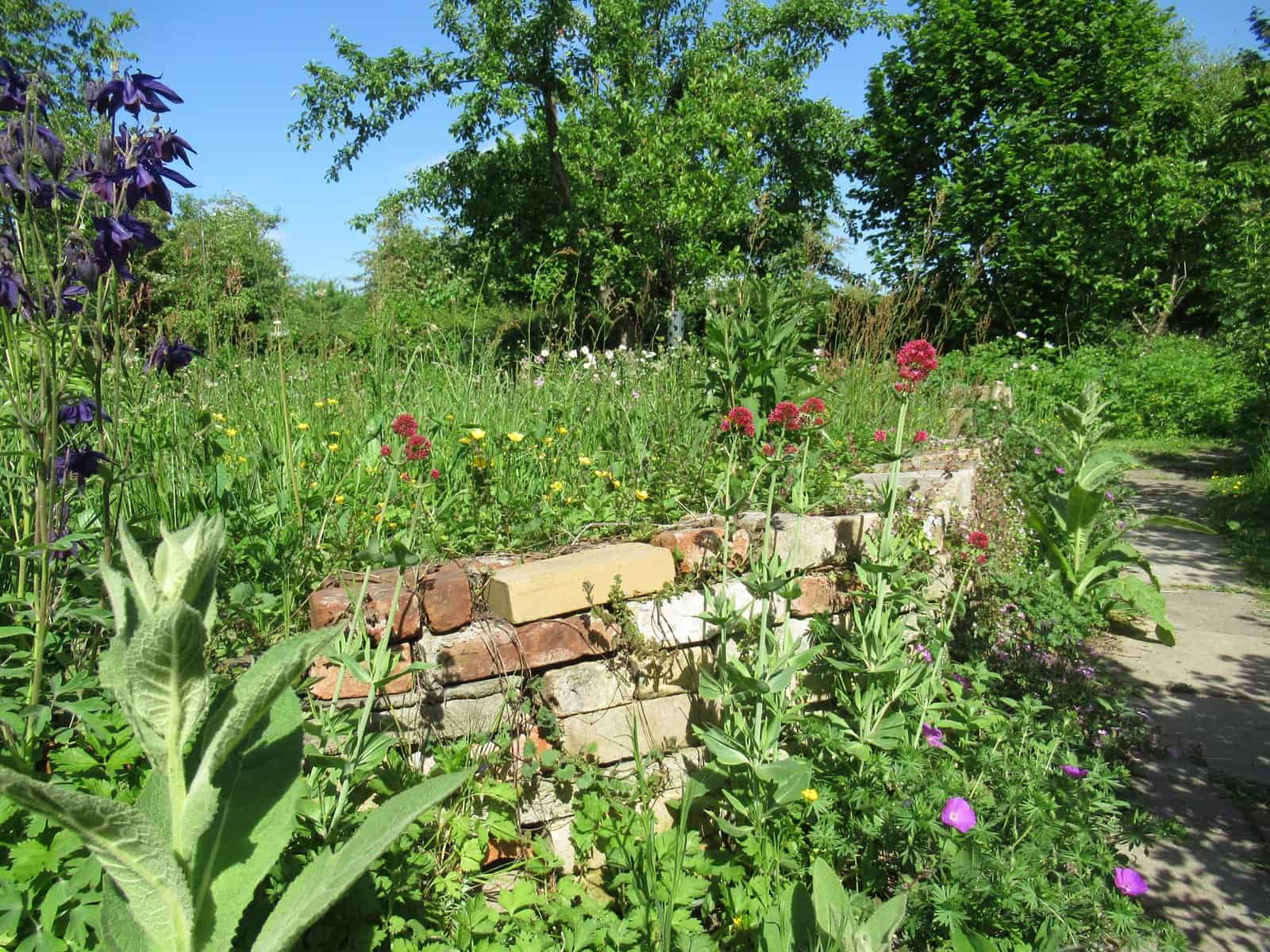 Trockenmauer im Schaurarten