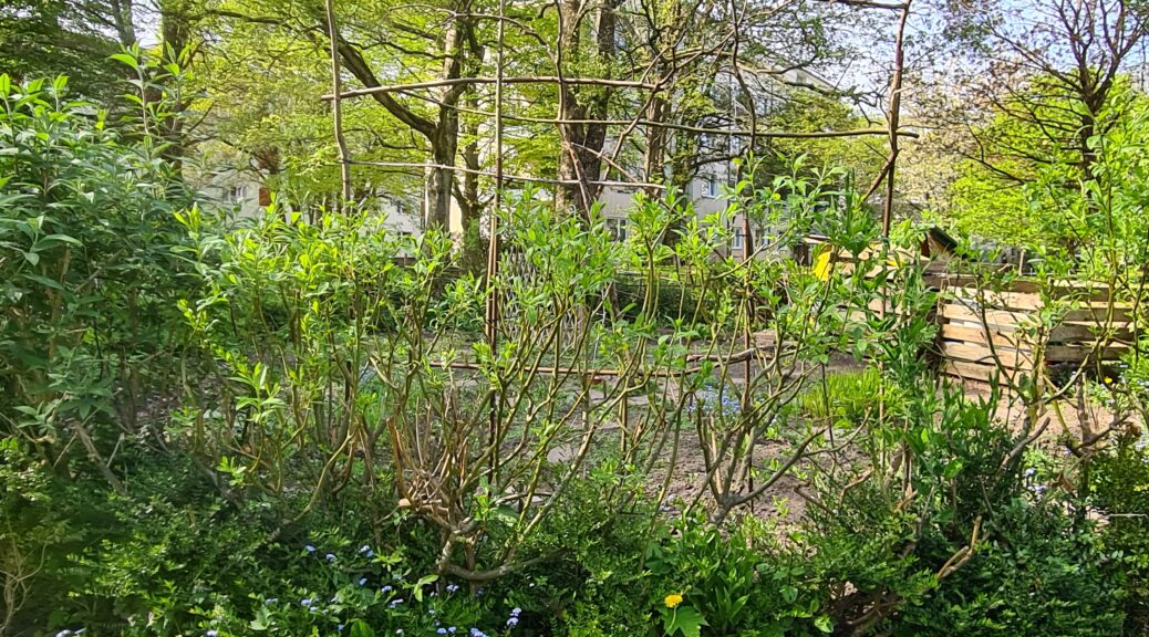 Das Rundbeet, ein urban gardening Projekt in Kiel