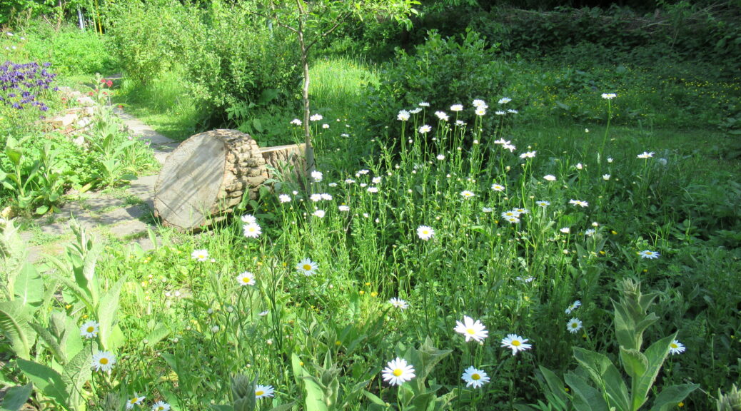 Schaugarten des NaturGarten e.V.