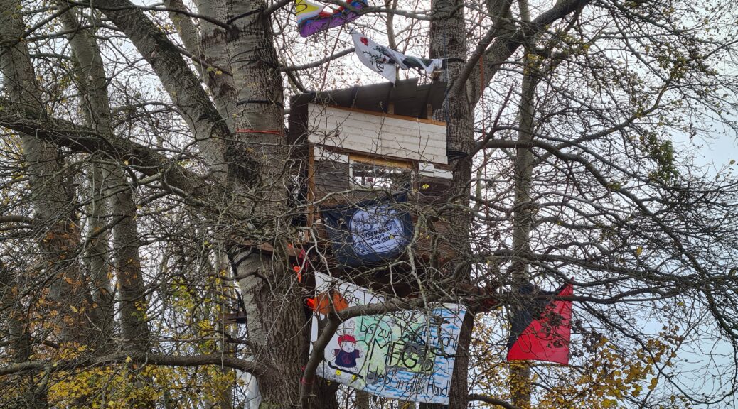 Baumbesetzung auf dem MFG5-Gelände