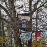 Baumbesetzung auf dem MFG5-Gelände