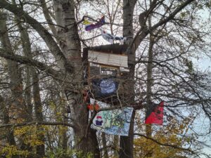 Baumbesetzung auf dem MFG5-Gelände